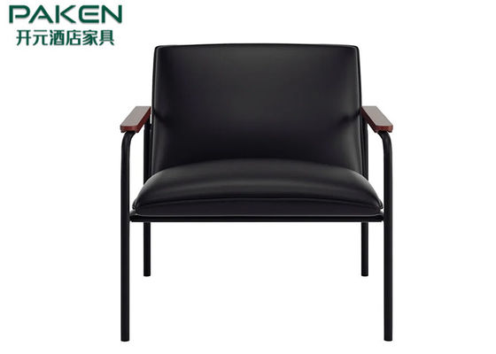 Minimalist Single Lounge Armchair Iron Frame With Cushion Back Easy Put Antique Design